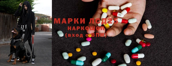 прущие крисы Балахна